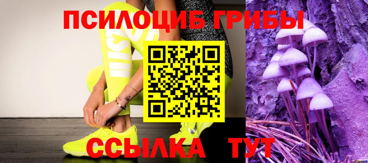 Галлюциногенные грибы GOLDEN TEACHER Кашира